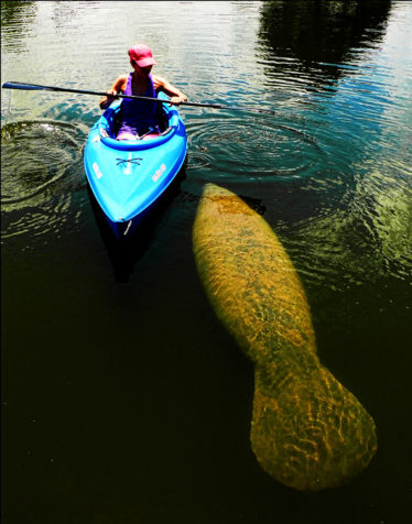 Kayaking with friends is popular on Tarpon Springs’ many waterways.