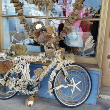 Sponges and shells adorn many things on the Sponge Docks!