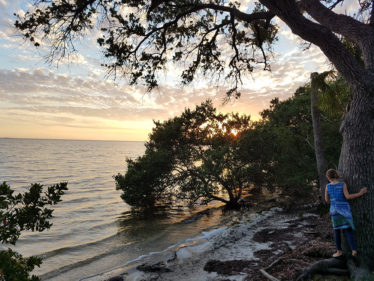 Sunset at Fred Howard Park. Photo by Richard Nilsen.